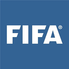 FIFA Logo as one of SPORTAL team's experience