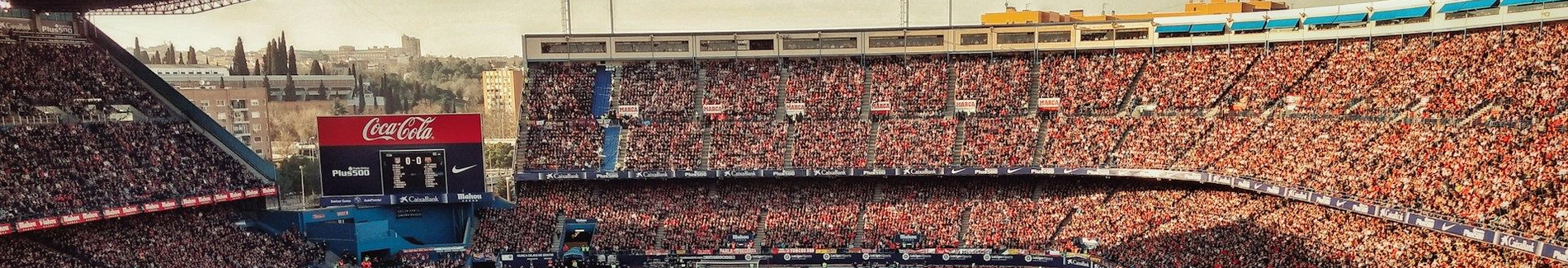 Sports Marketing & Sponsorship program